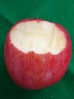りんご噛み痕